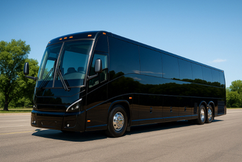 National City Ada Buses