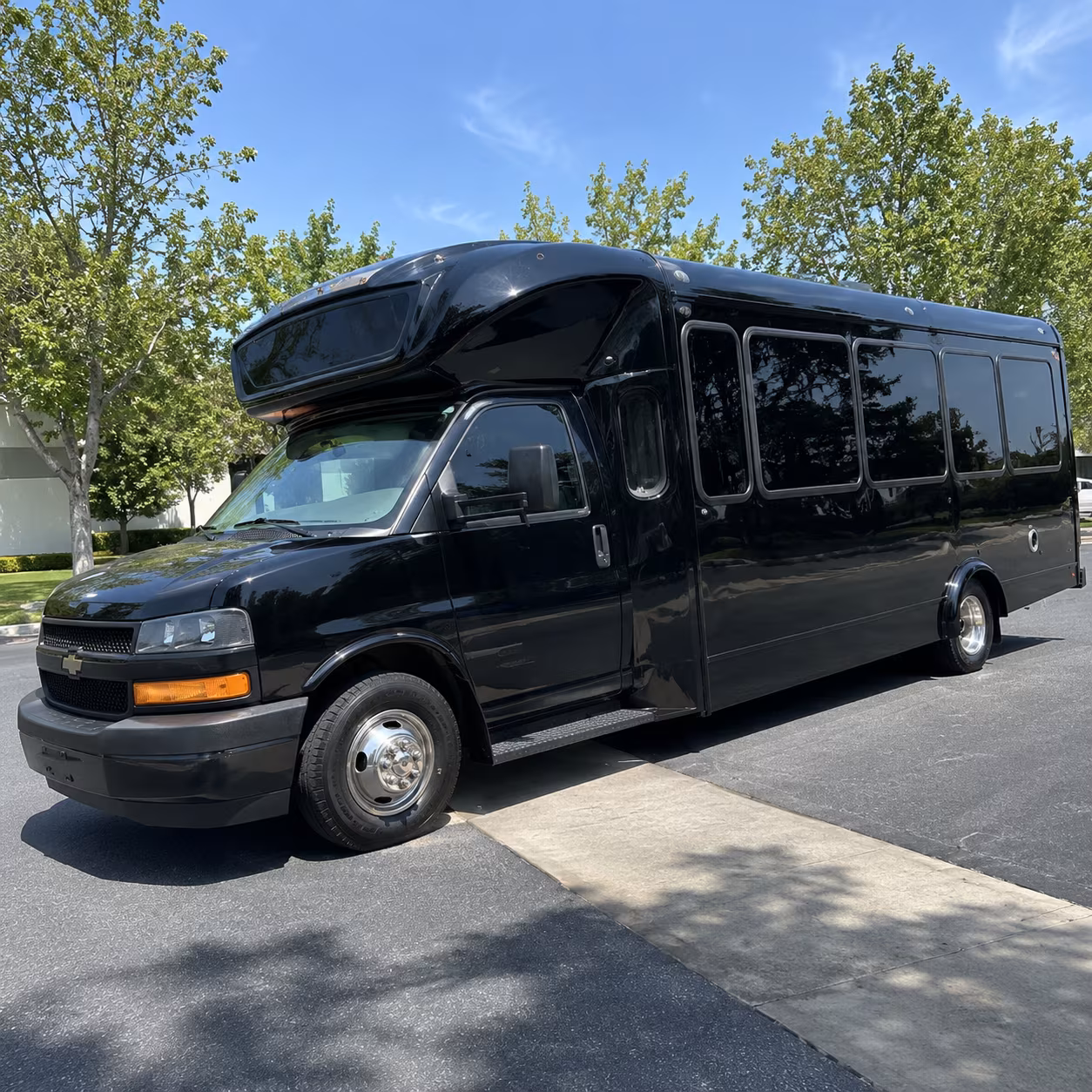national city 15 passenger party bus